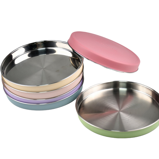 Stainless Steel Flat Feeding Plate: Slow Feeder Dog Bowl for Natural Eating 9"