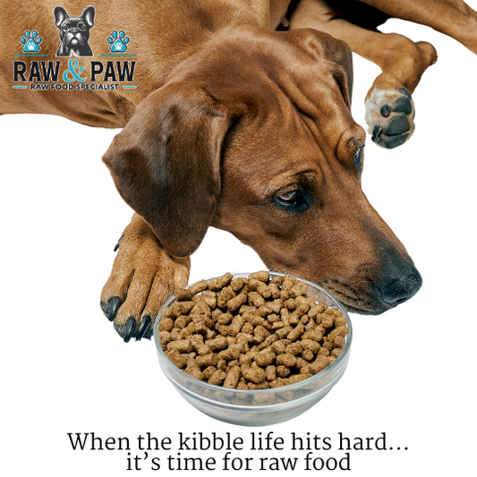 Why Your Dog is Bored of Kibble