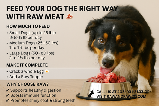 The Raw Scoop: Feeding The Way Nature Intended