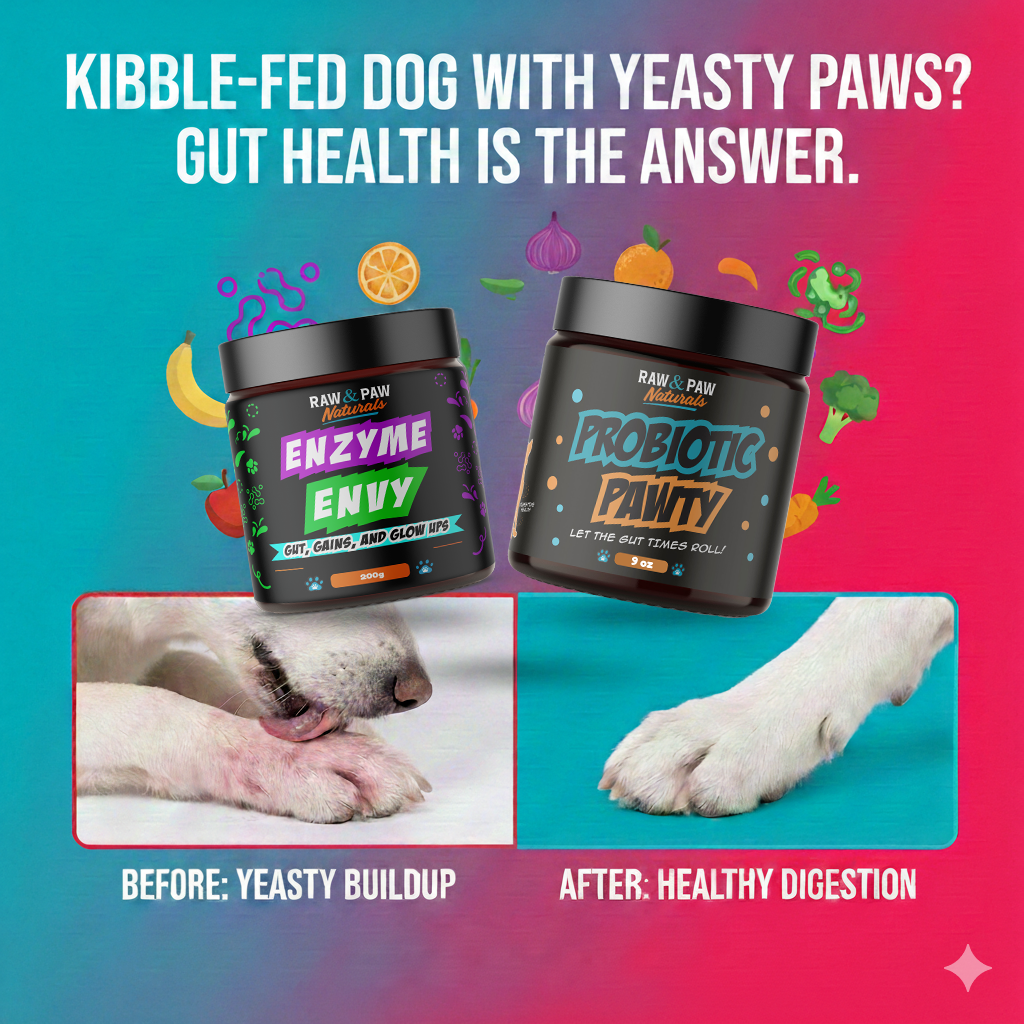 Stop the Lick: The Gut-Health Secret to Curing Your Dog's Yeasty Paws