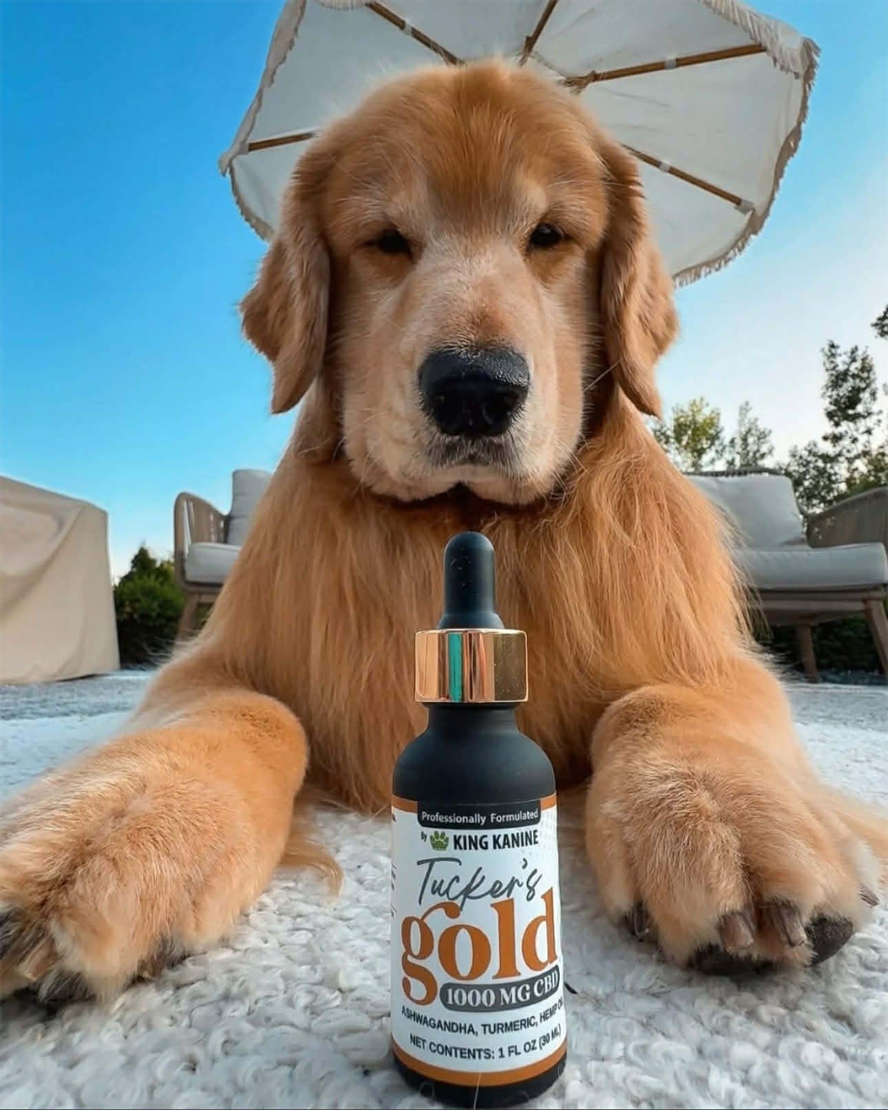 TUCKER'S GOLD 1000MG - #1 Vet Recommended
