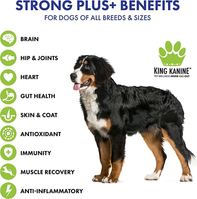 Strong Plus + Probiotic, Protein, & Joints for Pets