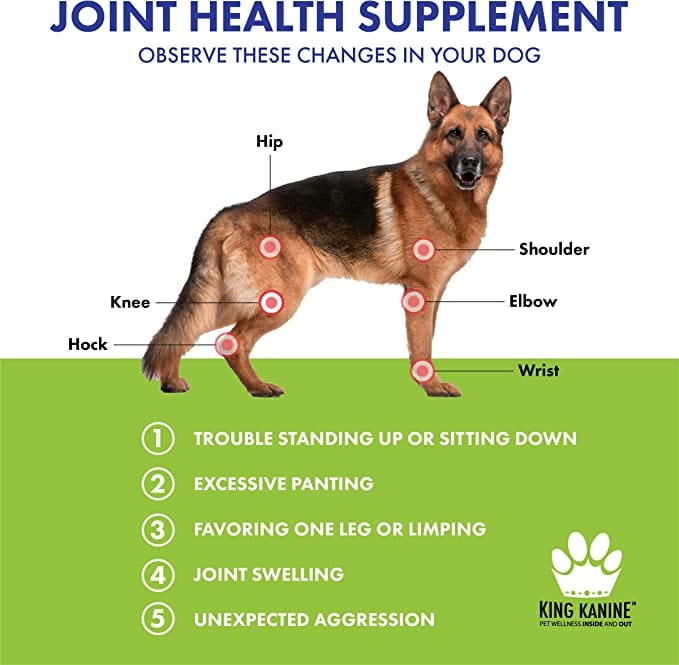 Strong Plus + Probiotic, Protein, & Joints for Pets
