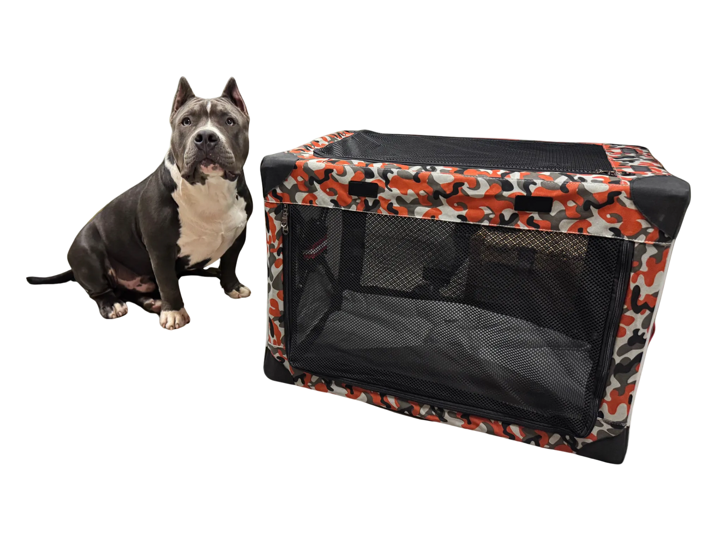 Portable Dog Crate