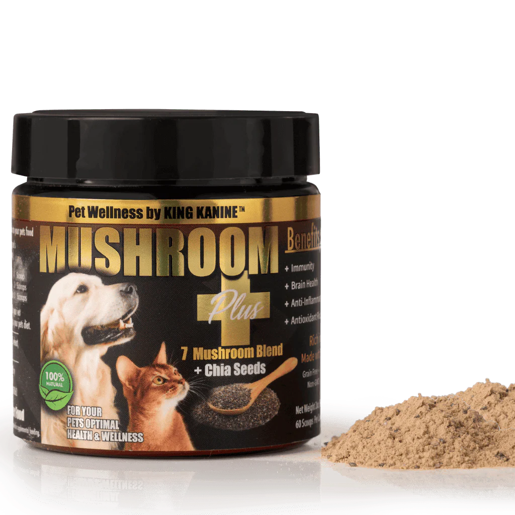 Pet supplement jar labeled 'Mushroom Plus' with a black lid on a white background
