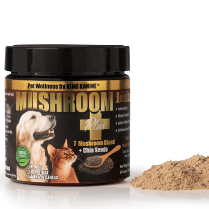 Pet supplement jar labeled 'Mushroom Plus' with a black lid on a white background