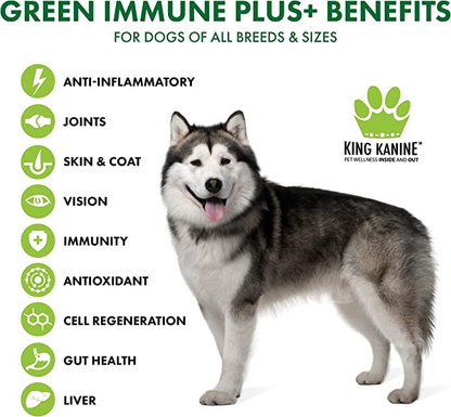 Dog with King Kanine Green Immune Plus+ benefits listed on a white background