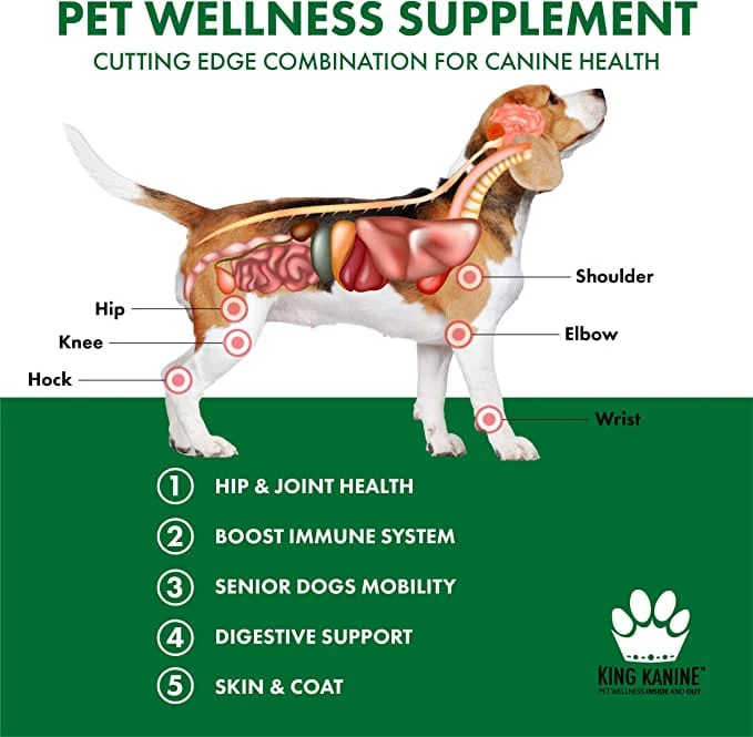 Diagram of a dog with labeled body parts and text about pet wellness supplement benefits on a green background.