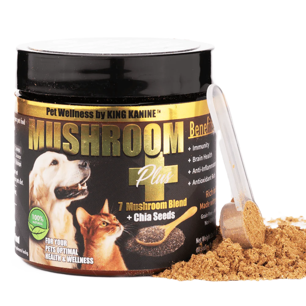 Mushroom Plus+ 7 Mushroom Blend Supplement for dog and cat immune support