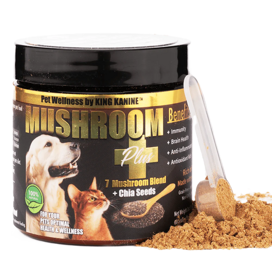 Mushroom Plus+ 7 Mushroom Blend Supplement for dog and cat immune support