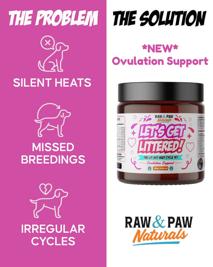 The bottle of Let's Get Littered, a premium fertility and ovulation support supplement for female dogs designed to regulate heat cycles and improve conception rates.