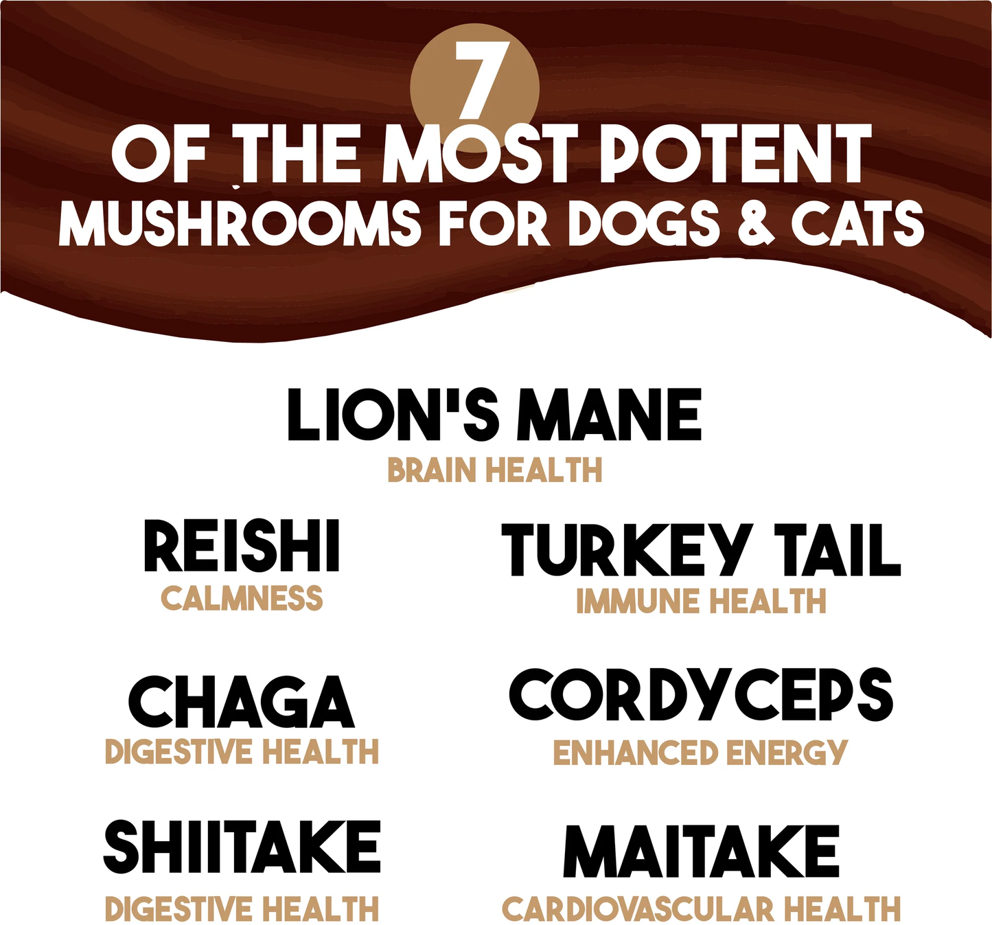 List of the most potent mushrooms for dogs and cats with corresponding health benefits on a brown and white background.