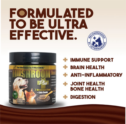 Dog supplement jar with text highlighting benefits on a beige background