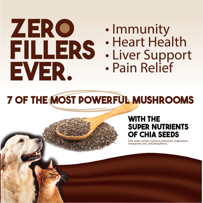 Advertisement for a product with mushrooms and chia seeds, featuring text about health benefits and ingredients.