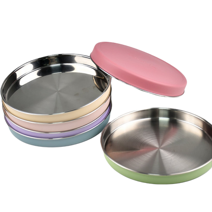 Stainless Steel Flat Feeding Plate: Slow Feeder Dog Bowl for Natural Eating 9"