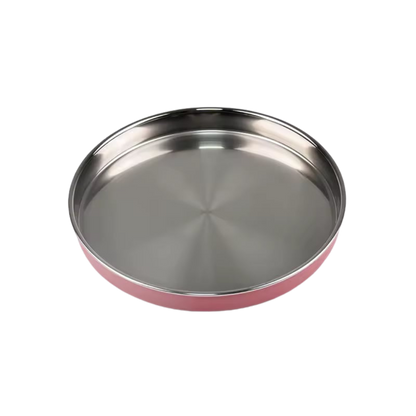 Stainless Steel Flat Feeding Plate: Slow Feeder Dog Bowl for Natural Eating 9"