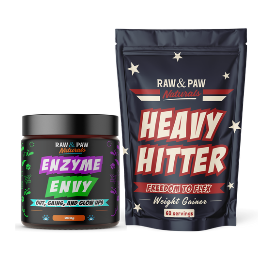 Protein Protocol - Protein Shake for your dog