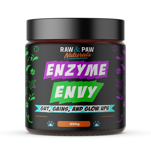 The jar of Enzyme Envy, a premium digestive enzyme powder supplement specially formulated for dogs eating kibble to improve digestion and nutrient absorption.
