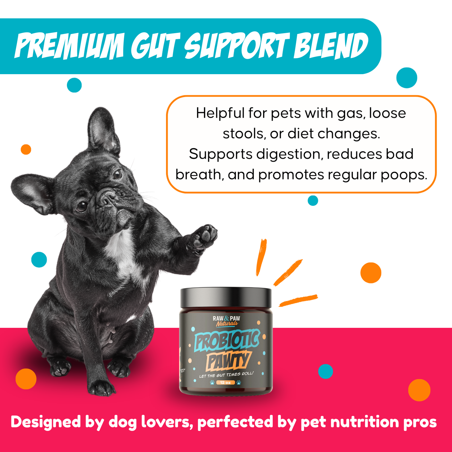 Promotional image of a dog with a probiotic powder jar, highlighting gut support benefits.