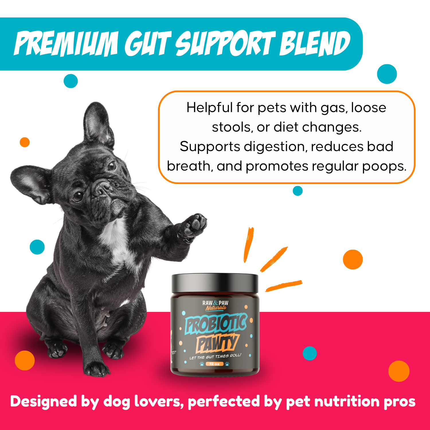 Promotional image of a dog with a probiotic powder jar, highlighting gut support benefits.