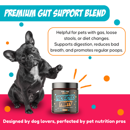 Promotional image of a dog with a probiotic powder jar, highlighting gut support benefits.