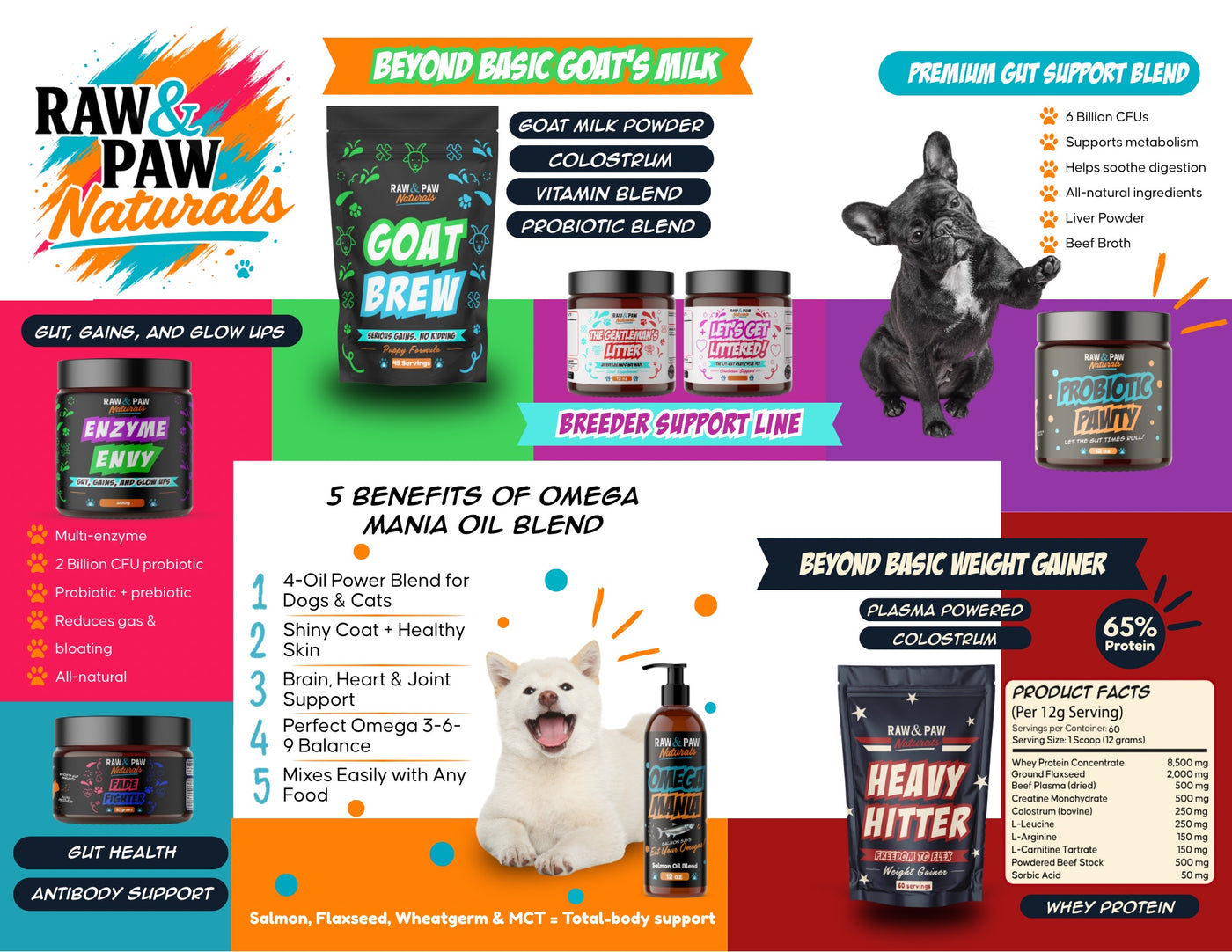 Brochure preview