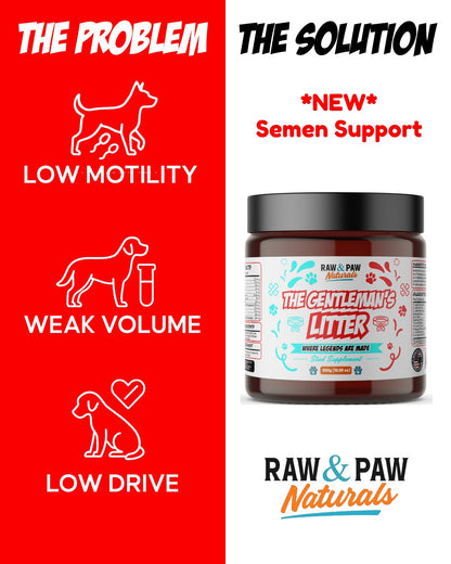 The bottle of The Gentleman's Litter, a premium stud dog fertility and performance supplement designed to improve sperm motility, quality, and libido.